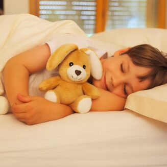 Peluches chauffantes